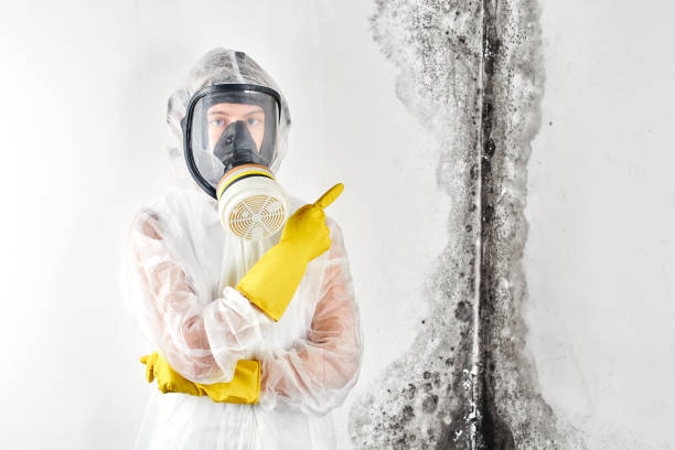 Reliable Marlow, OK Mold Inspection Solutions